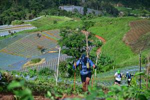 BIB: 
                            <button type="button" onclick="openModal(13381106)" class="btn btn-primary btn-sm float-right btn-popup" data-toggle="modal" data-target=".modal-high-quality">
                        <i class="fas fa-shopping-cart"></i> Add to Cart
                    </button>
                                            <button type="button" onclick="isThisMe(13381106, true)" class="btn btn-success btn-sm float-right btn-popup btn-isme hidden" data-toggle="tooltip" data-placement="bottom" title="นี่คือรูปของคุณใช่ไหม คลิกที่นี่เพื่อเอาเข้าอัลบั้ม">
                        <i class="fas fa-plus"></i> Add to album
                    </button>
                    <button type="button" onclick="isThisMe(13381106, false)" class="btn btn-warning btn-sm float-right btn-popup btn-isnotme hidden">
                        <i class="fas fa-ban"></i> Remove from album
                    </button>